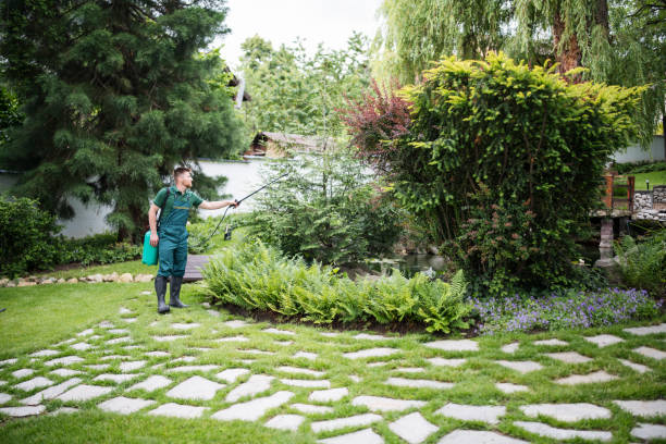 Best Wasp Removal Services  in Crystal River, FL