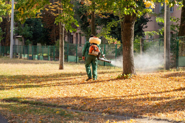 Best Pest Control Treatment  in Crystal River, FL