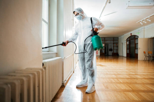 Wasp Removal Services in Crystal River, FL