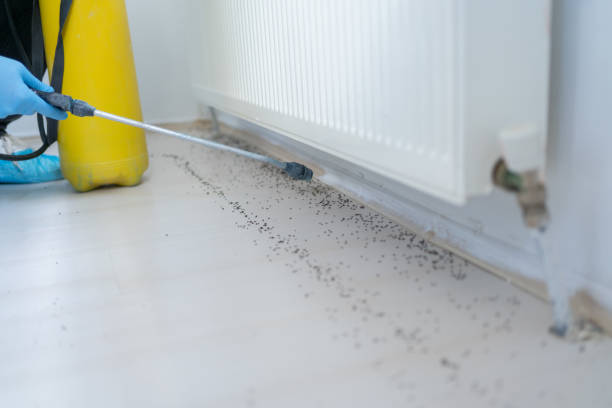 Best Ant Control Services  in Crystal River, FL